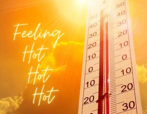 🌡️ Hitteprotocol RKSV Heer – verantwoord sporten staat voorop.